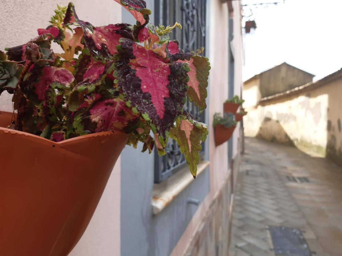 Appartamento Per Turisti Filoxenia Santa Severina Luaran gambar